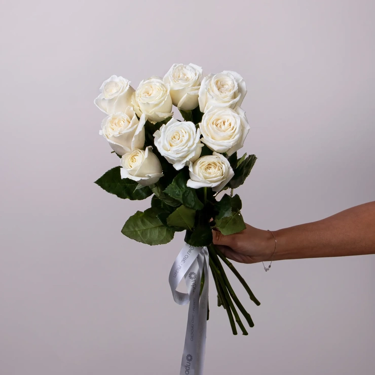 Розы бланка белые фото 1