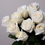 Розы бланка белые миниатюра 2