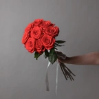 Розы морелло красные миниатюра 1