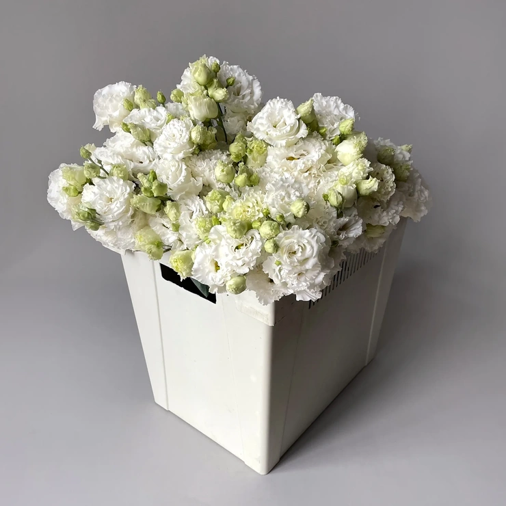 Лизиантус Ду Селеб кристал белый фото 1