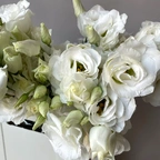 Лизиантус - Ду Арена Джиант Вайт  белый миниатюра 2