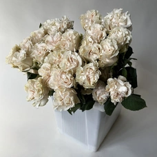 Роза - Коттон Экспрешн белый