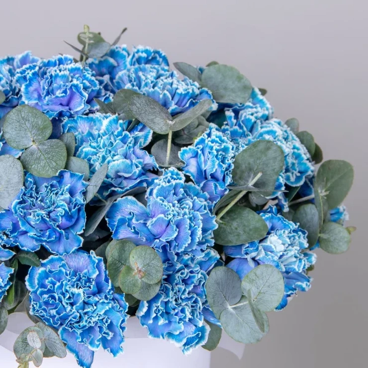 Шляпная коробка диантусы голубые фото 2