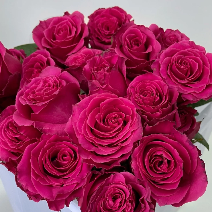 Роза - Фулл Монти розовый фото 2