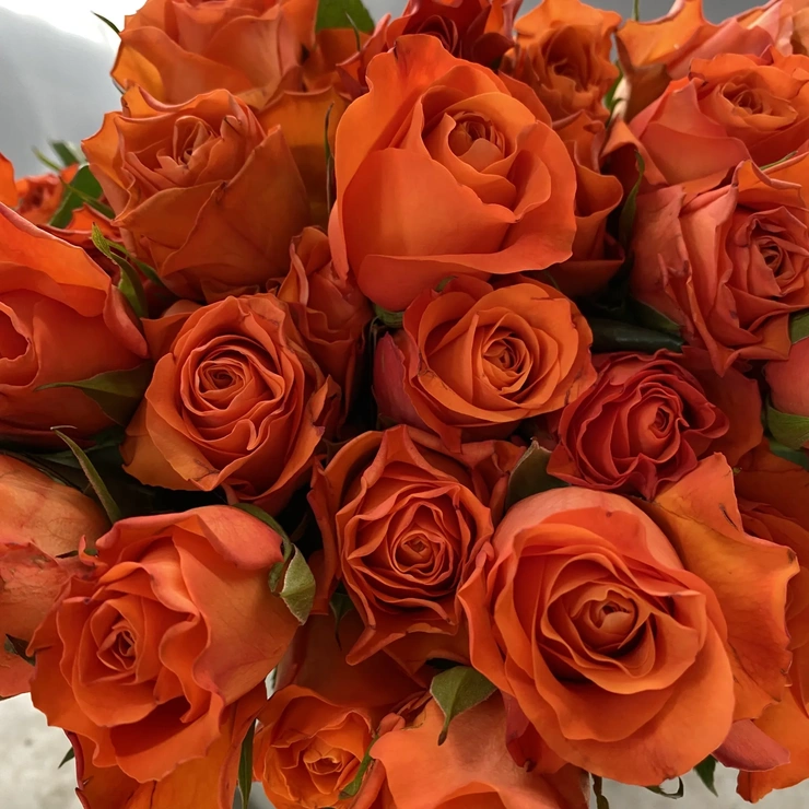 Роза - вейв оранжевая фото 2